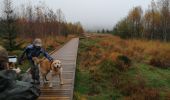 Trail Walking La Roche-en-Ardenne - le marais - Photo 5