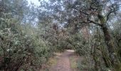 Tocht Stappen Château-Arnoux-Saint-Auban - SAINT AUBAN . SENTIER DE DÉCOUVERTE DE L AÉRODROME  O L  - Photo 2