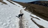 Trail Walking Stosswihr - Les 3 Fours - Ohneck - Col de Flachimont - Photo 5