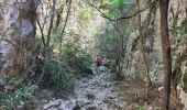 Percorso A piedi Gordes - les gorges de la Véroncle - Photo 8