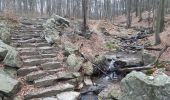 Trail Walking Spa - la havette . berinzenne . thier des rexhons . source geronstere . source barisart .  chapelle de la Roche . la havette  - Photo 9