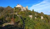 Tocht Stappen Piégros-la-Clastre - Piegros la Clastre - Photo 4