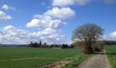 Tour Zu Fuß Waldeck - Rundwanderweg Netze 1 - Photo 6