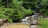 Tour Wandern Arâches-la-Frasse - Carroz les Grangettes pra rôti - Photo 6