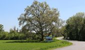 Randonnée A pied Gemeinde Leopoldsdorf - Gebrüder Weiss Runde - Photo 1