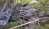 Trail Walking Kranjska Gora - pericnik excursion - Photo 5