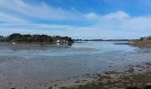 Trail Walking Sarzeau - PR_56_Sarzeau_GA_07_Regards-Sur-Le-Golfe_Circuit1b_20240310 - Photo 3