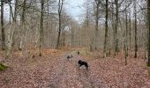 Trail Walking Meix-devant-Virton - Meix-devant-Virton - Photo 8