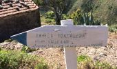 Trail On foot Santa Cruz de Tenerife - Pico del Ingles circulaire - Photo 4