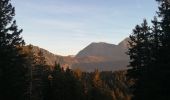 Randonnée Marche Chamrousse - lac affray - Photo 1