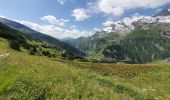 Tour Wandern Sainte-Foy-Tarentaise - Chenal Monal Clou Fenil (boucle) - Photo 19