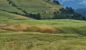 Trail 4x4 Sevrier - route de la soif 25/07/2025 - Photo 4