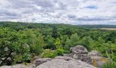 Trail Walking Champcueil - boucle champcueil - Photo 9