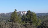 Tocht Stappen Saint-Rémy-de-Provence - Saint Remy - les Baux  - Photo 1