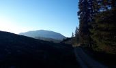 Percorso Marcia Saint-Agnan-en-Vercors - Grand Veymont - Photo 1