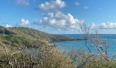 Excursión Senderismo Le Vauclin - Boucle du Vauclin avec les mornes denisiens  - Photo 2