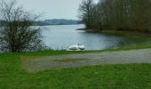 Randonnée Marche Froidchapelle - Balade au Lac de la Plate Taille - Photo 4