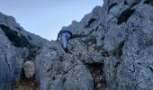 Tocht Stappen Plan-d'Aups-Sainte-Baume - le col des glacières par les crêtes - Photo 3