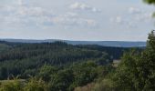 Tour Wandern Theux - 20220901 - Jehanster 5.3 Km - Photo 4