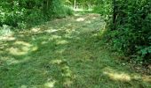 Percorso Marcia Vendôme - Randonnée dans le Bois de l'Oratoire à Vendôme  - Photo 5