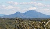 Tocht Stappen Seillons-Source-d'Argens - SEILLONS SUR ARGENS - SOURCE DE L'ARGENS - Photo 6