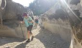 Excursión Senderismo Trigance - LE pont du Sautet,de Carajuan et le belvédère des vautours - Photo 4