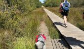 Trail Walking Houffalize - Initiation bivouac J2 - Photo 5
