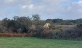 Trail Walking Erdeven - PR_56_Erdeven_CB_04_Sentier-Des-Villages-Sd_Circuit1b_20231031 - Photo 2