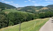 Trail Horseback riding Orbey - Orbey- Sainte Marie aux mines - Photo 8