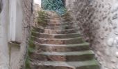 Randonnée Marche Pont-en-Royans - Grotte Balme Rousse - Photo 18