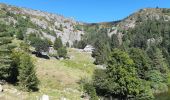 Tour Wandern Urbeis - Col du Wettstein - Hautes-Huttes - Lac du Forlet - Lac Vert - Photo 8