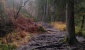 Trail Walking Jalhay - Hoegne-Polleur-Statte-Dolmen - Photo 13