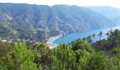 Trail Walking Levanto - Rando Cinq Terre 2ème jour- Levanto- Vernazza 14km - Photo 10