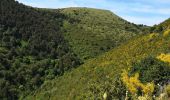 Tocht Mountainbike Digne-les-Bains - [PAT] Sentier 10 Cousson - Photo 4