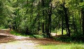 Trail Walking Saint-Crépin-aux-Bois - en forêt de Laigue_3_07_2019_La Malmère_Les Croisettes_Monts du Rond Buisson et des Châtillons - Photo 20
