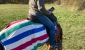 Trail Horseback riding Gresswiller - Triggur gresswiller cva  - Photo 9