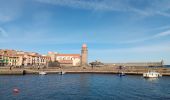 Trail Walking Argelès-sur-Mer - racou - collioure - racou / en boucle - Photo 20