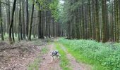 Trail Walking Neufchâteau - Tronquoy - Respelt - Photo 10