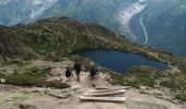 Tocht Stappen Chamonix-Mont-Blanc - Lac Blanc - Photo 4