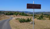 Trail Walking Gorges du Tarn Causses - La Condamine, le Single  - Photo 5