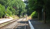 Percorso A piedi Viroinval - Les Bornes - Photo 2