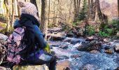 Tour Wandern Jalhay - Légendes et forêt enchantée à Solwaster. (Promenade 57)  - Photo 11