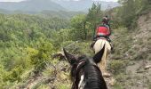 Trail Horseback riding Valle de Hecho - Siresa - Anso  - Photo 6