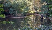 Randonnée Marche Münchweiler an der Rodalb - Felsenwald - Photo 4