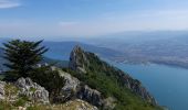 Tour Wandern Le Bourget-du-Lac - DENT DU CHAT - MOLARD NOIR - Photo 7