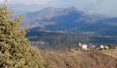 Tocht Stappen Aiglun - AIGLUN.  Le vieil Aiglun , sommet du Puy o l s - Photo 18