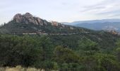 Tocht Stappen Saint-Raphaël - massif de l'Esterel : autour des grues  - Photo 13