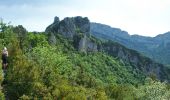 Trail Walking Romeyer - PAS DE PISON COL DES BACHASSON - Photo 6