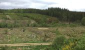 Tocht Wegfiets Bütgenbach - Ravel Butchenbach Hallslag (D) - Photo 2