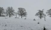 Tour Wandern Stablo - Stavelot 20,6 km - Photo 14